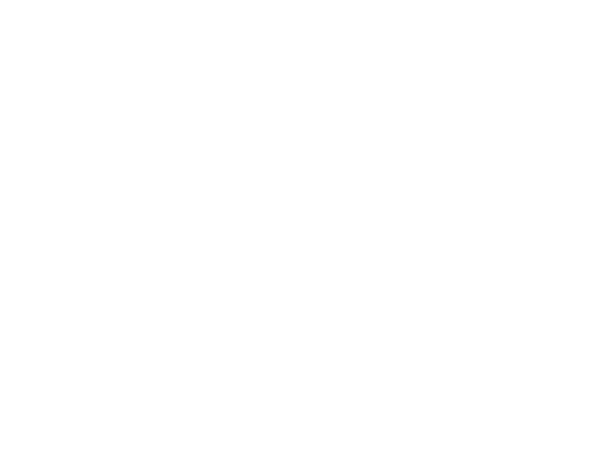 LoKey designs white tran 550
